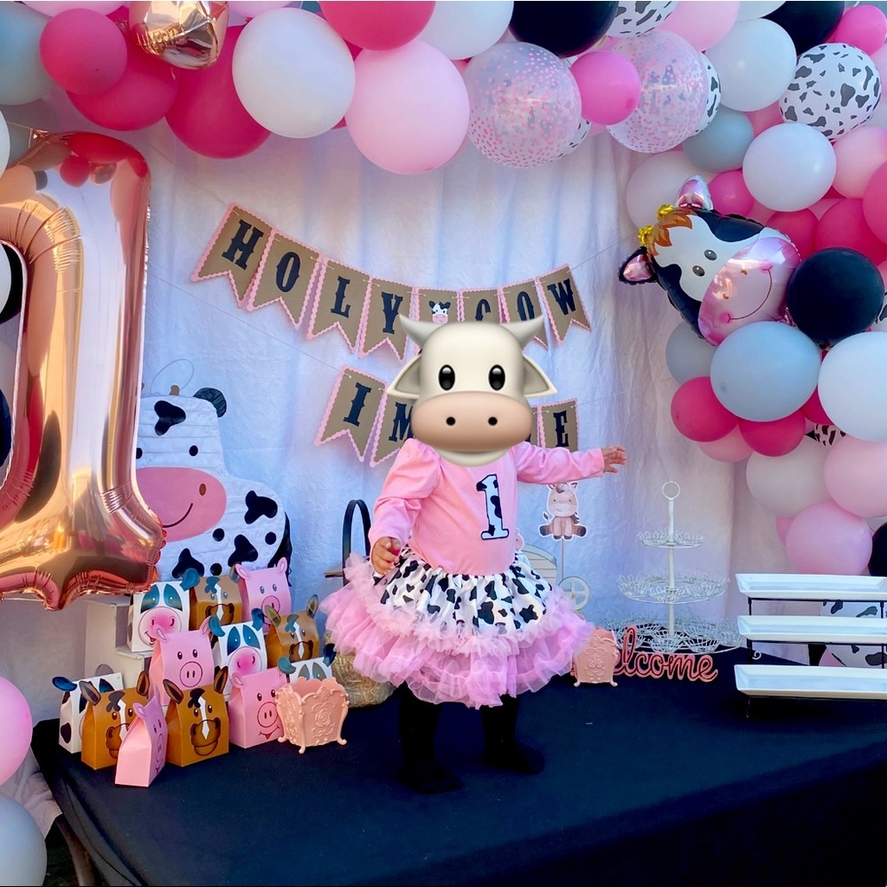 First Birthday Cowboy Cow theme Tutu Dress tulle onsie western custom